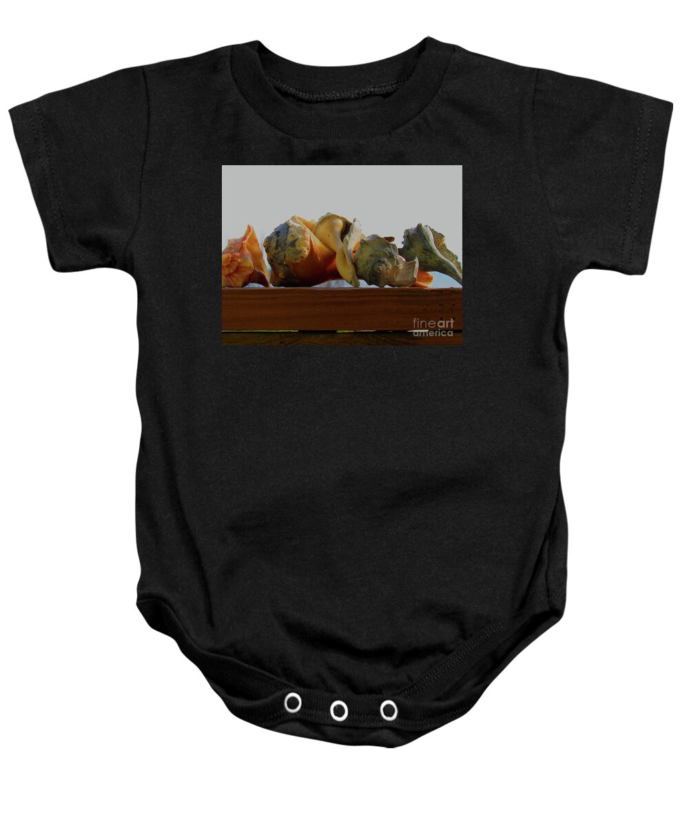 Shells Of The Sea Baby Onesie featuring the photograph Shells of the Sea in Orange and Gray by Roberta Byram