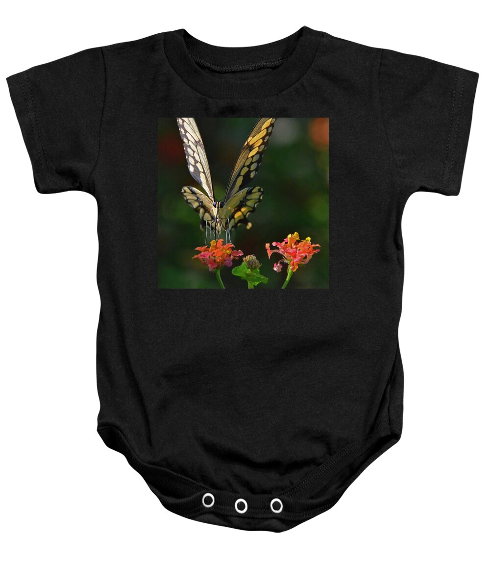 Butterfly Baby Onesie featuring the photograph Sipping Lantana by Charlotte Schafer