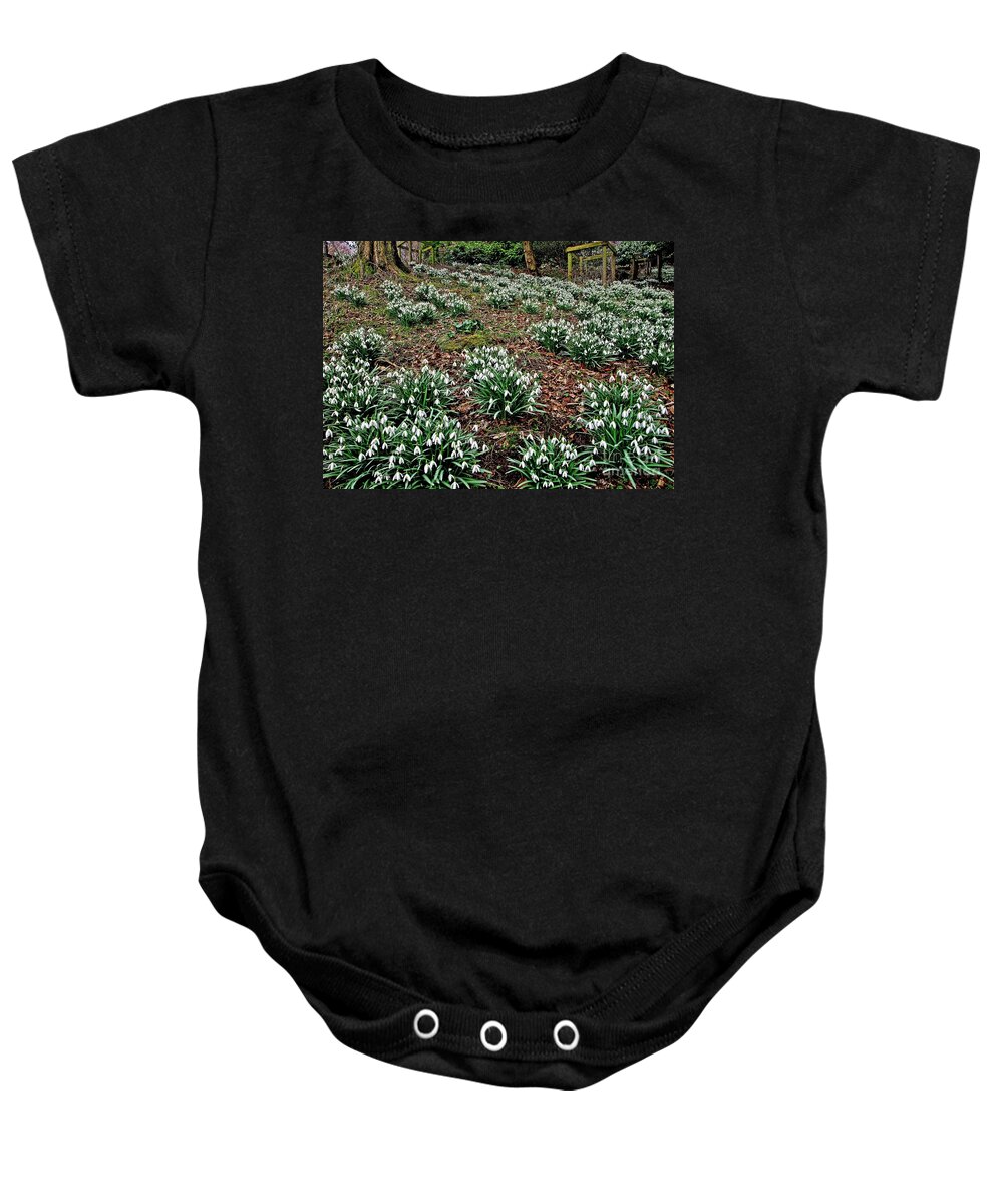 Snowdrop Baby Onesie featuring the photograph Snowdrops In Spring Woodland by Martyn Arnold