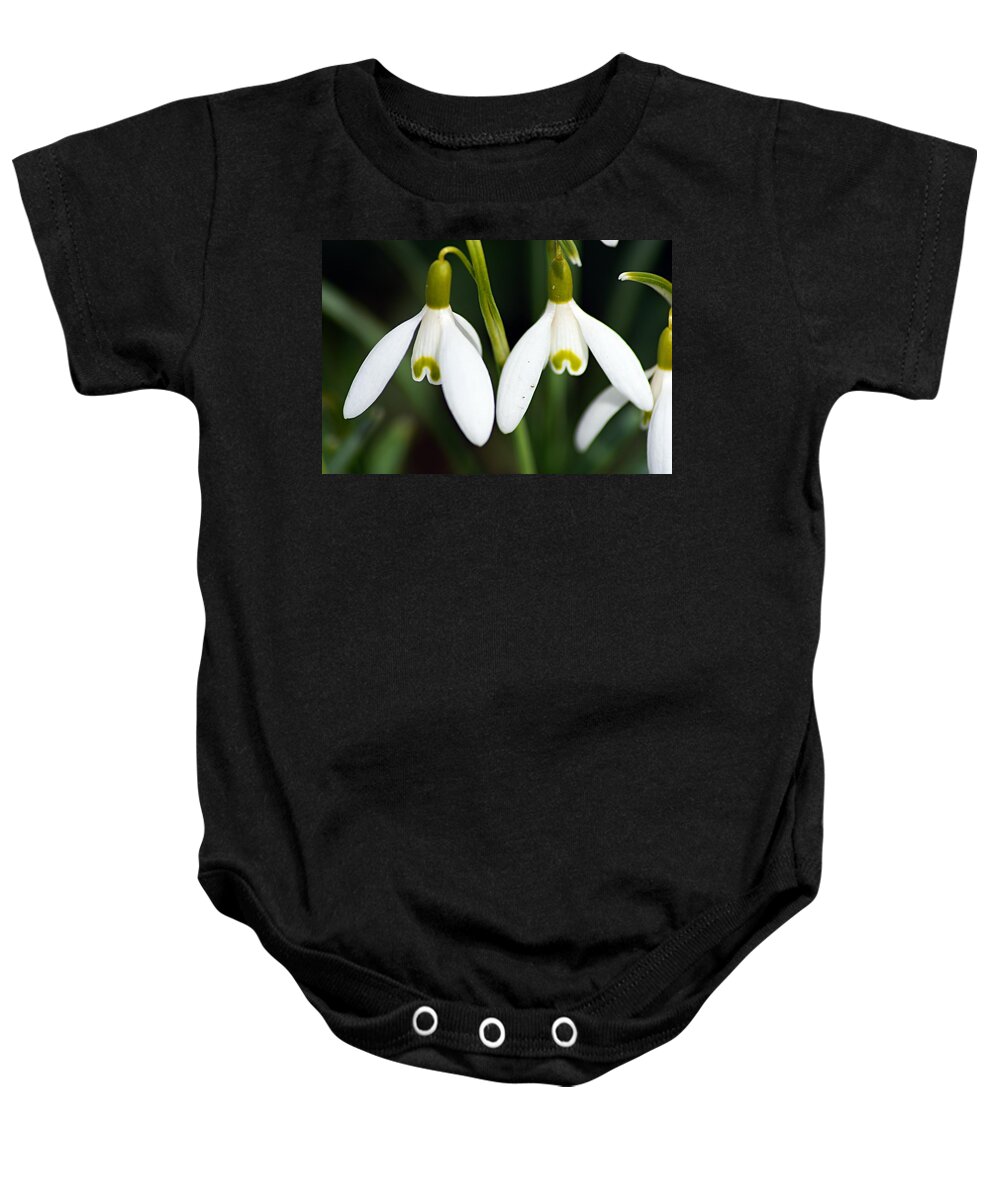 Snowdrops Baby Onesie featuring the photograph Snowdrops by Larry Ricker