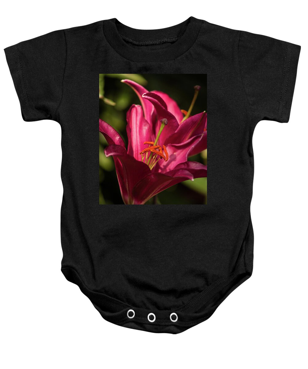 Floral Baby Onesie featuring the photograph Spotlight by Stewart Helberg