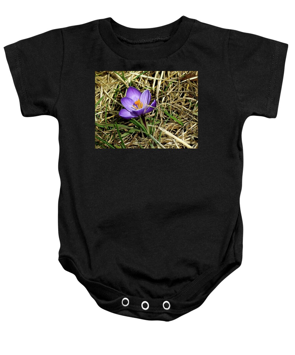 Crocus Baby Onesie featuring the photograph Spring Crocus by Azthet Photography