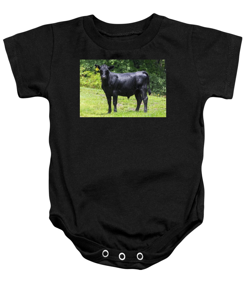 Steer Baby Onesie featuring the photograph Staring Steer by D K Wall