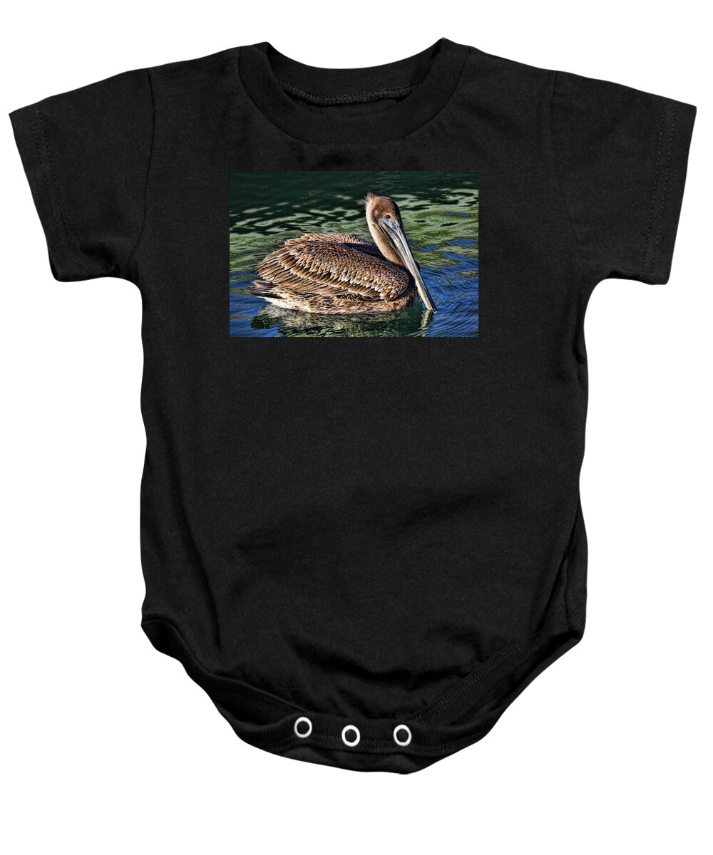 Brown Pelican Baby Onesie featuring the photograph Staying Afloat - Brown Pelican Swimming by HH Photography of Florida