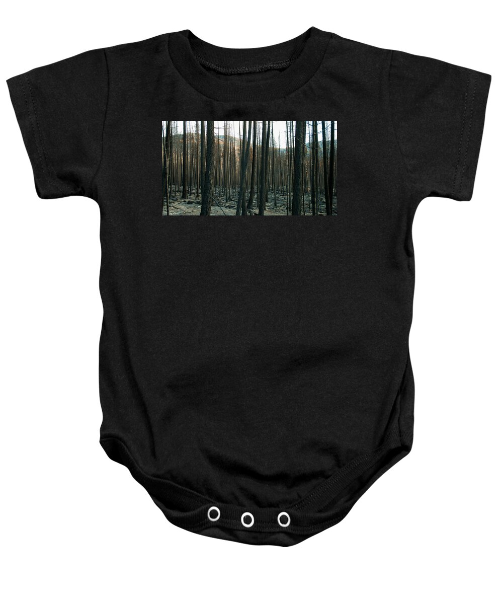 Stickpin Baby Onesie featuring the photograph Stickpin by Troy Stapek