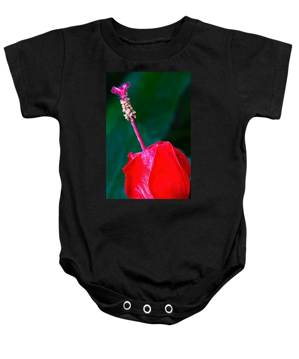 Stigma And Style Baby Onesie featuring the photograph Stigma and Style by Gary Holmes