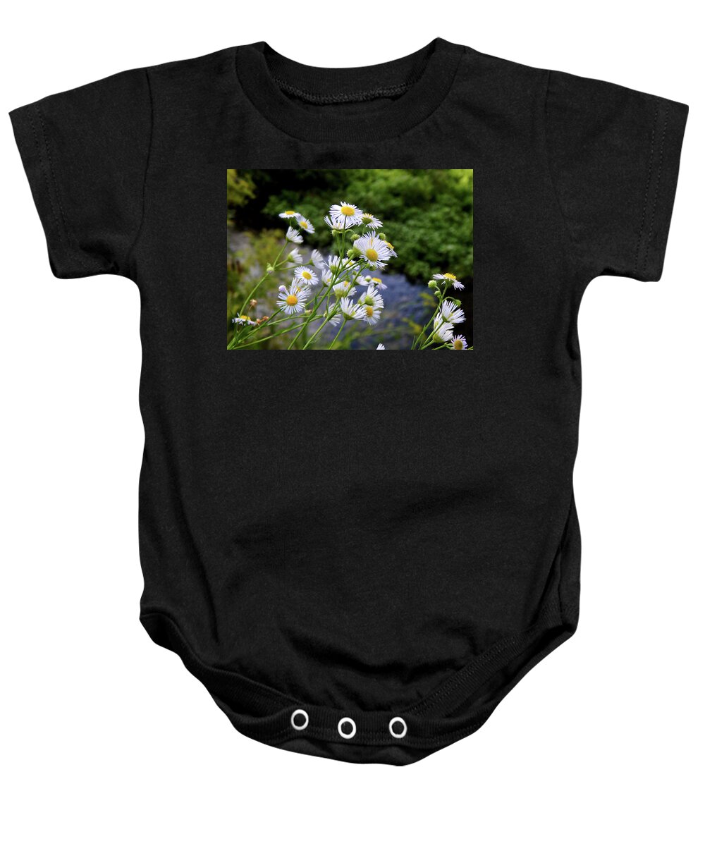 Summer Baby Onesie featuring the photograph Streaming by Wild Thing