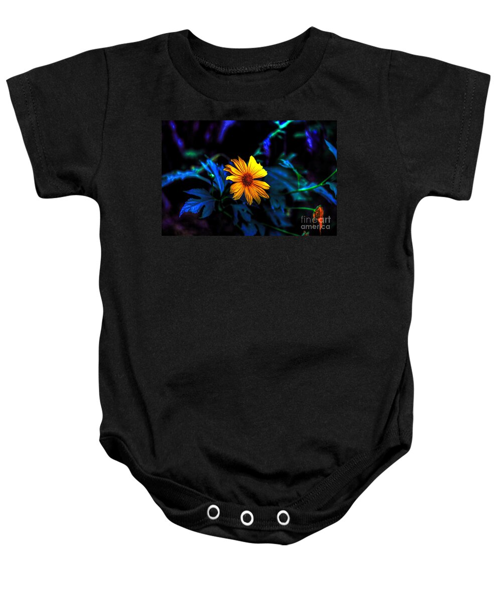 Photographs Baby Onesie featuring the photograph Sunflower by Felix Lai