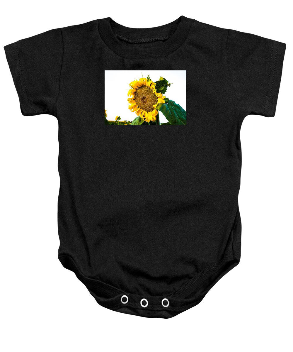 Sunrise Baby Onesie featuring the photograph Sunflower Morning #1 by Mindy Musick King