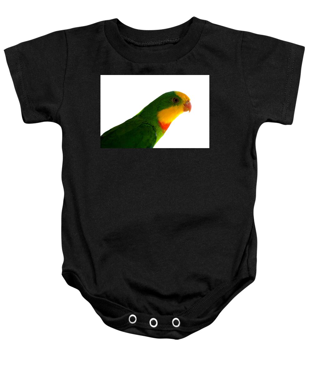 Superb Parrot Baby Onesie featuring the photograph Superb Parrot Polytelis swainsonii by Nathan Abbott
