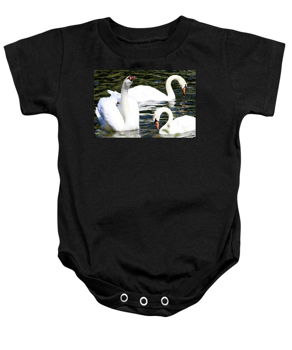 Swans Baby Onesie featuring the photograph Swans III by Carol Montoya