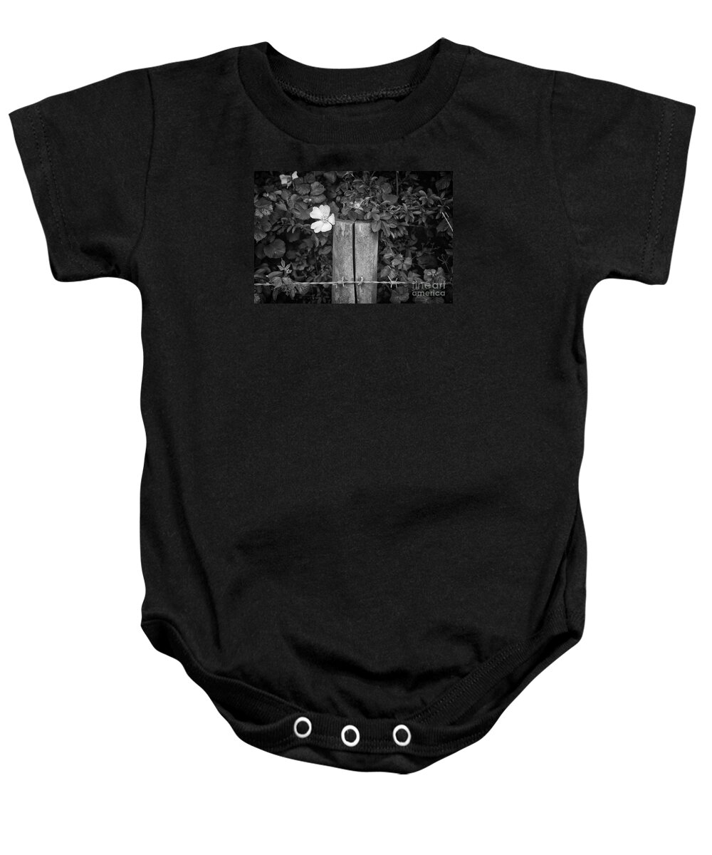Flower Baby Onesie featuring the photograph The Allotment Project - Dog Rose by Clayton Bastiani