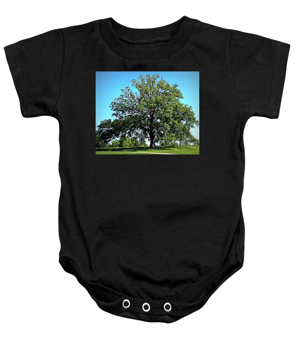 Tree Baby Onesie featuring the photograph The Mighty Oak in Summer by Cricket Hackmann