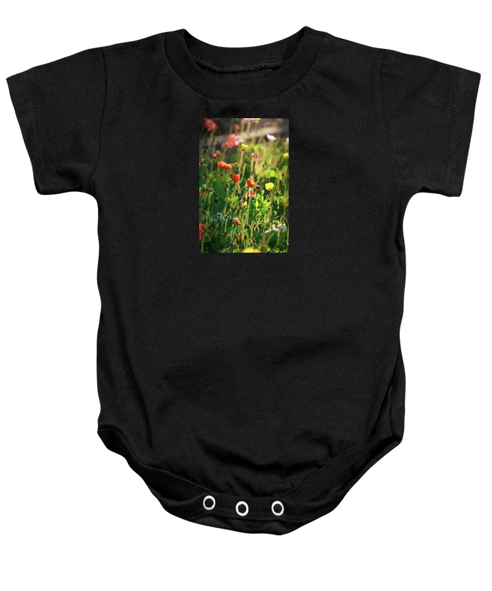 Digital Photo Art Baby Onesie featuring the digital art The Poppy Field by Ian Anderson