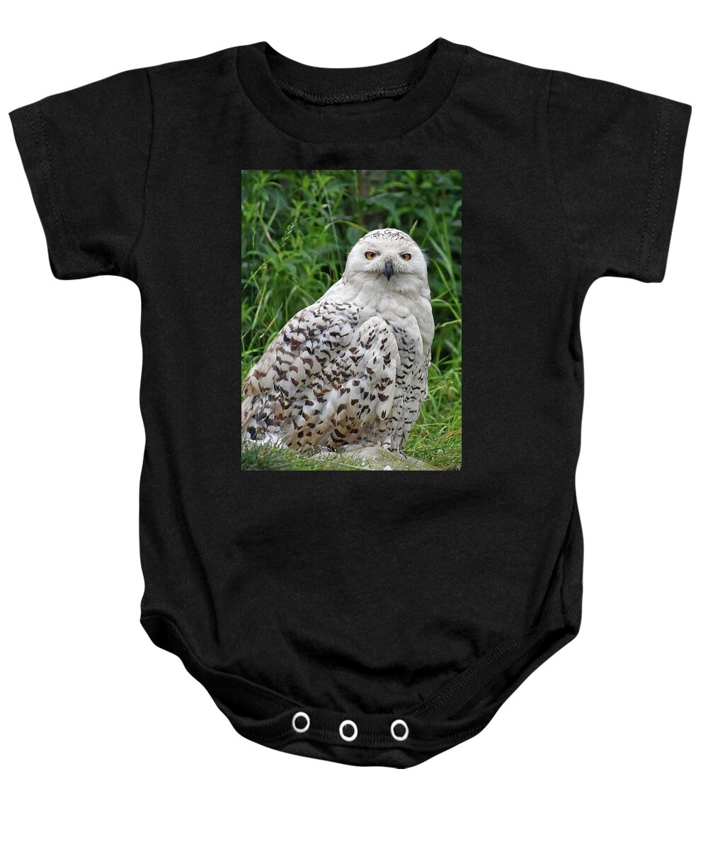 Owl Baby Onesie featuring the photograph The Professor by Kuni Photography