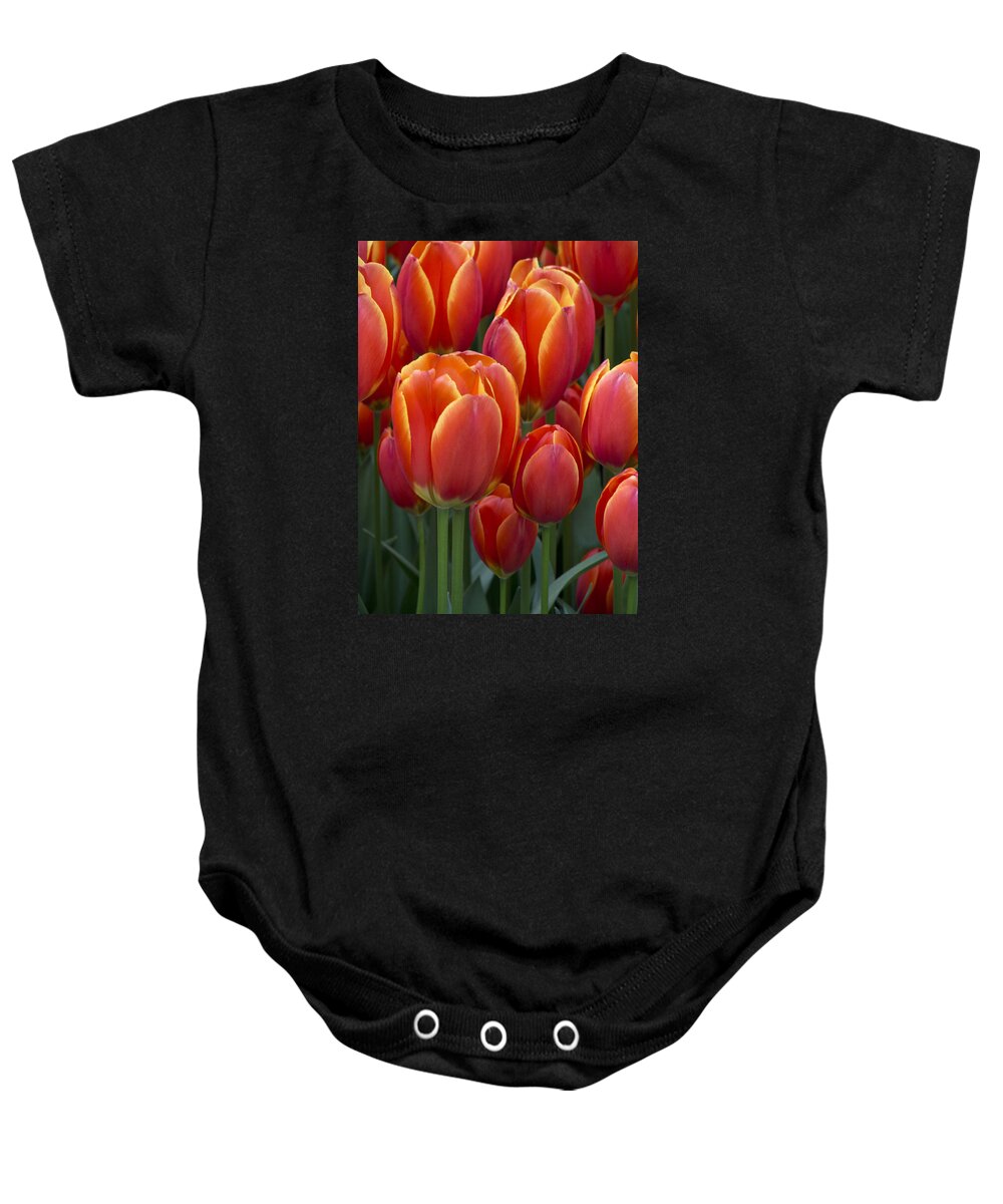 Beauty Baby Onesie featuring the photograph Tinge of Yellow by Eggers Photography