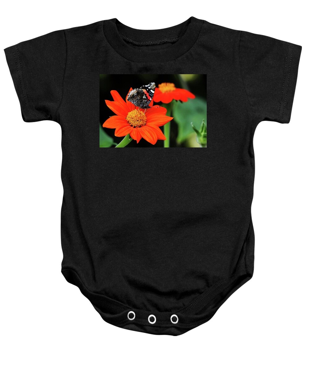 Butterfly Baby Onesie featuring the photograph Tithonia Loving Red Admiral by Debbie Oppermann