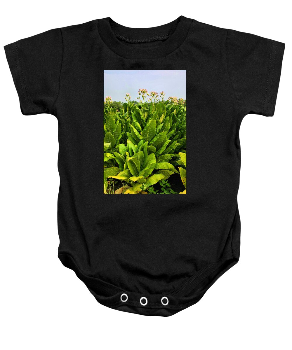 Tobacco Baby Onesie featuring the photograph Tobacco by Kristin Elmquist