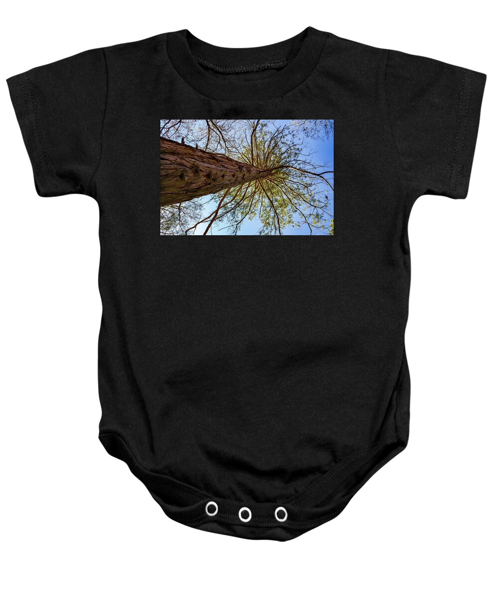 California Baby Onesie featuring the photograph Tree Reaching for the Sky by Roslyn Wilkins