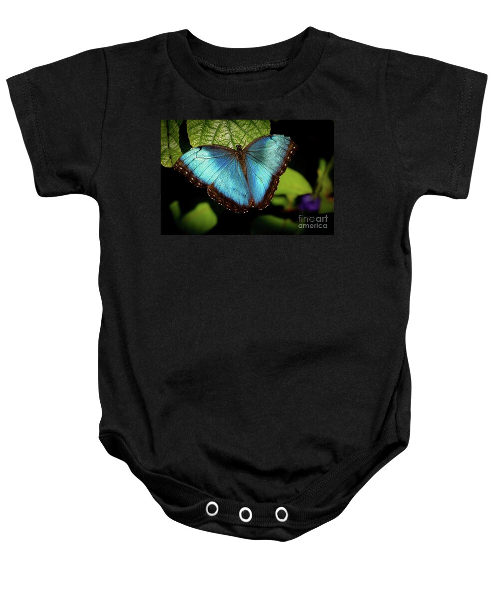 Spring Baby Onesie featuring the photograph Turquoise Beauty by Sabrina L Ryan