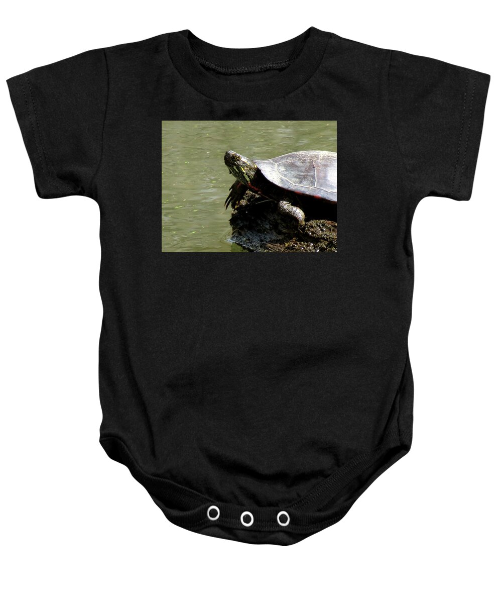 Nature Baby Onesie featuring the photograph Turtle Bask by Azthet Photography