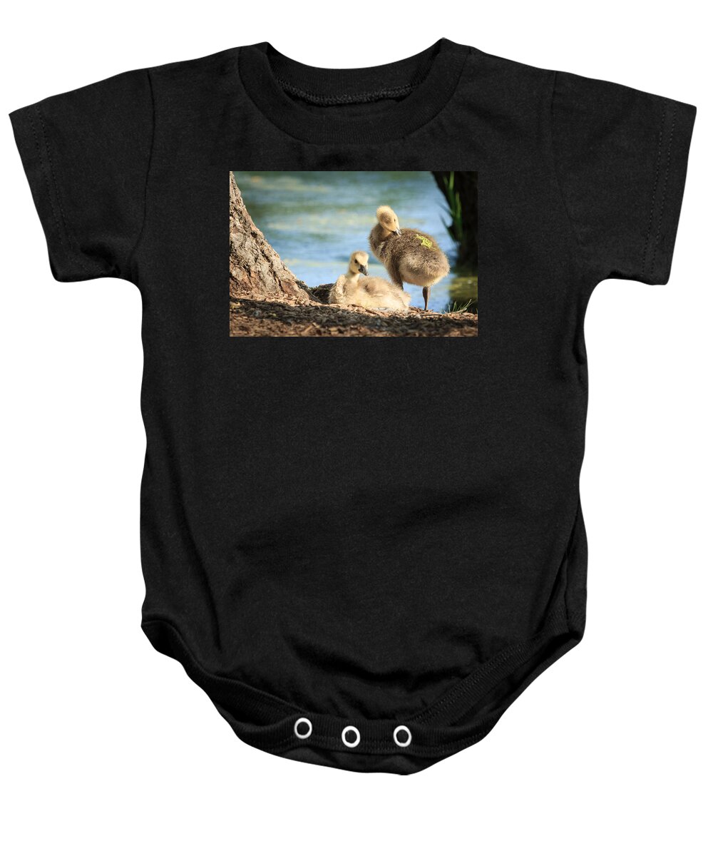 Goose Baby Onesie featuring the photograph Two little goslings by Joni Eskridge