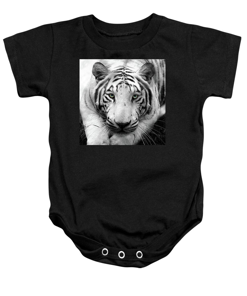 Bengal Tigers Baby Onesie featuring the photograph Tzatziki in Black and White by Susan Rissi Tregoning