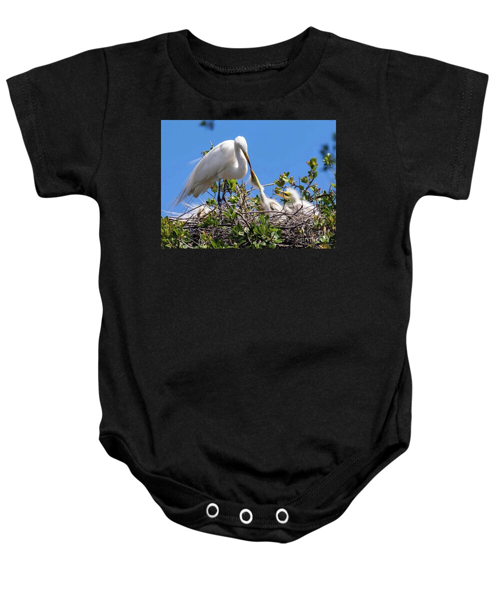Egrets Baby Onesie featuring the photograph Unconditional Love by DB Hayes