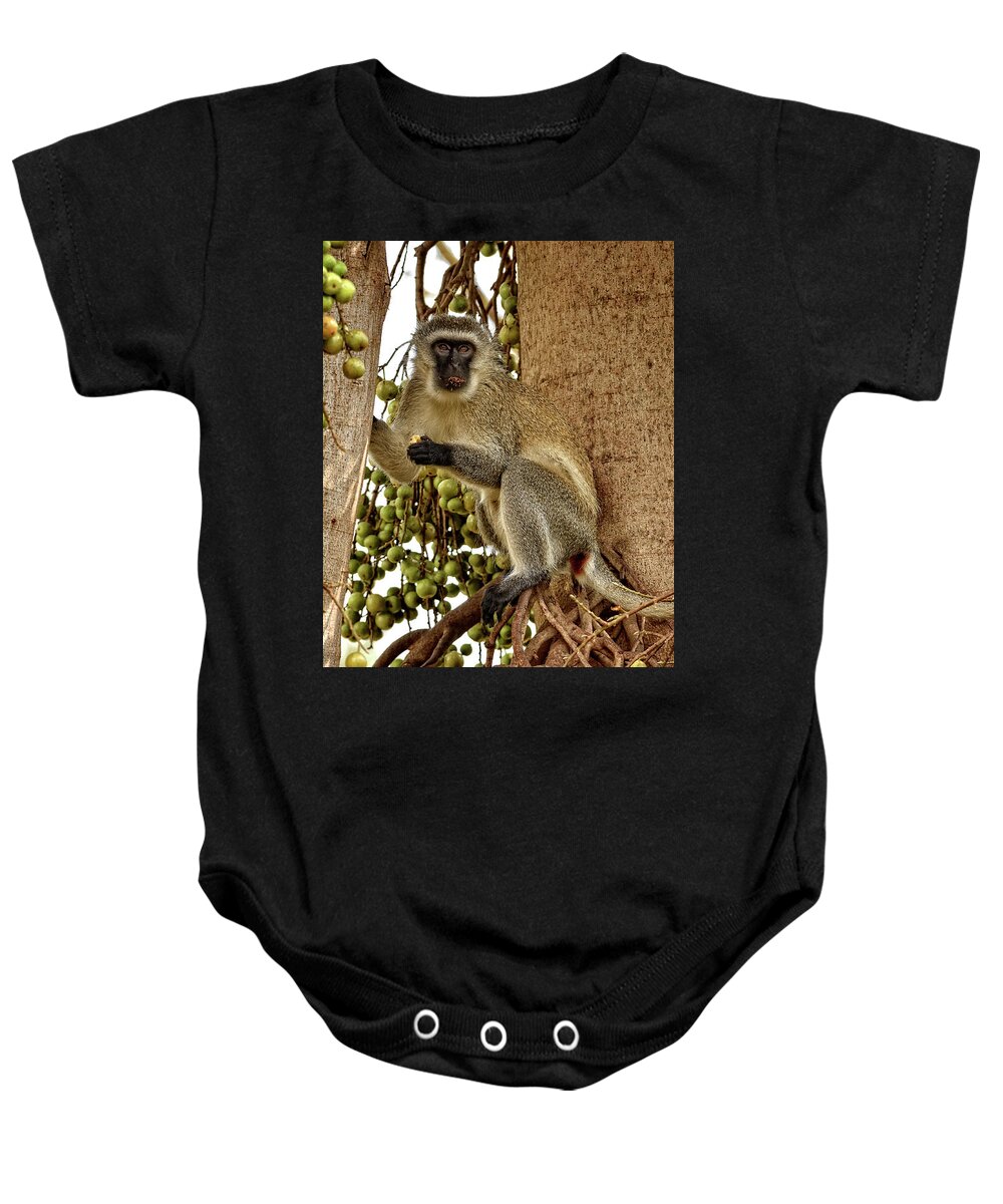 Africa Baby Onesie featuring the photograph Vervet Monkey by Mitchell R Grosky