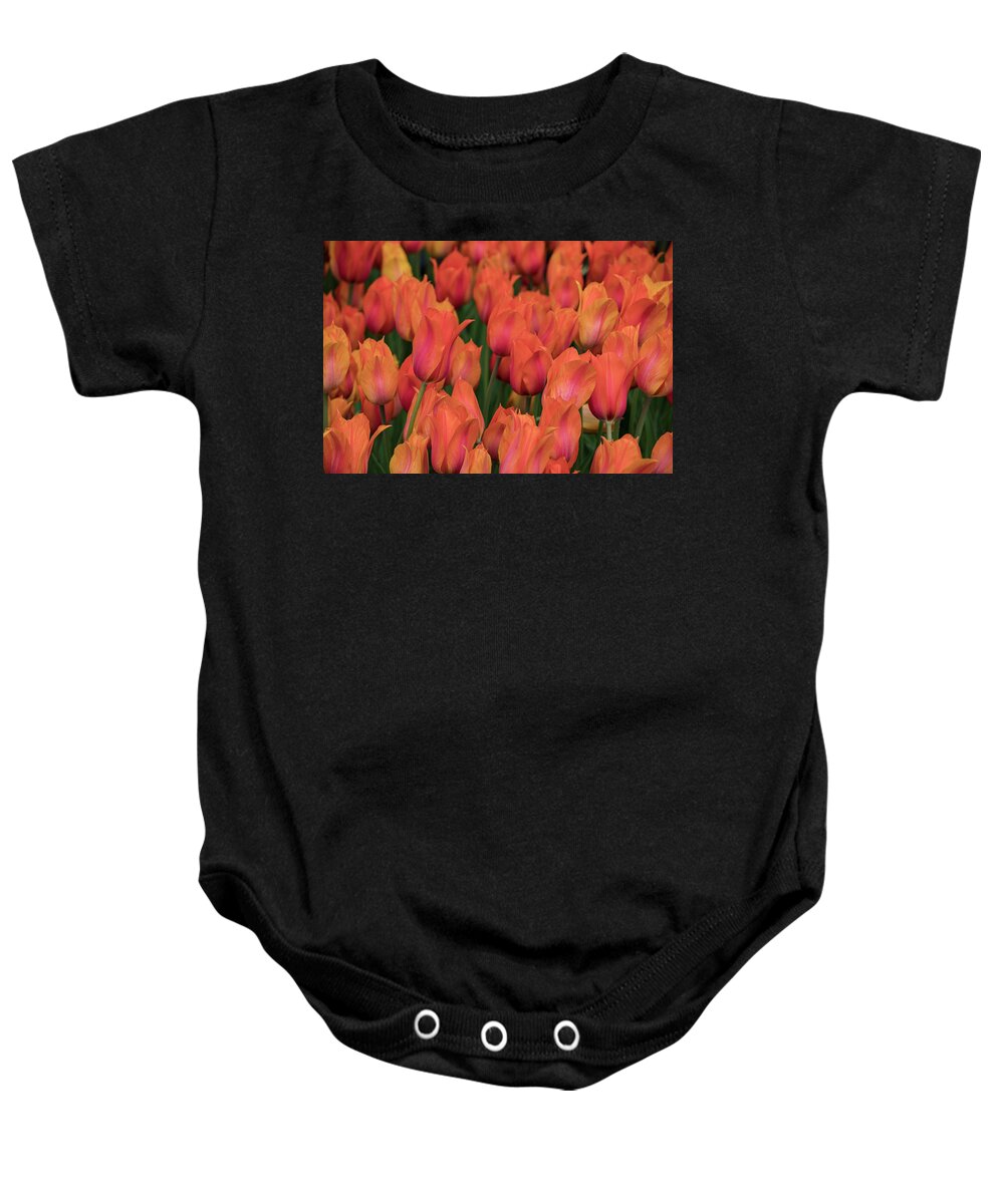 Beautiful Baby Onesie featuring the photograph Vibrant Whispers by Teresa Wilson