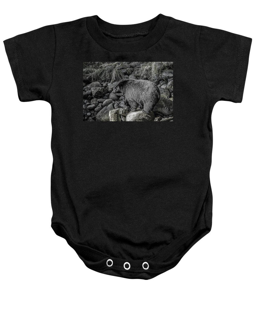 Black Bear Baby Onesie featuring the photograph Watching Black Bear by Roxy Hurtubise