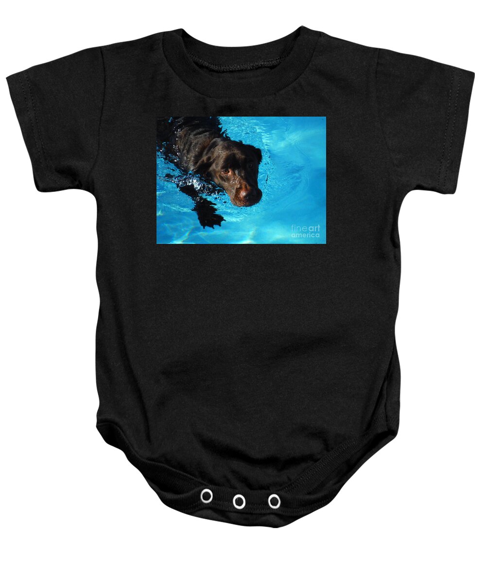 Water Dog Series Baby Onesie featuring the photograph Water Dogs Series 2 by Paddy Shaffer