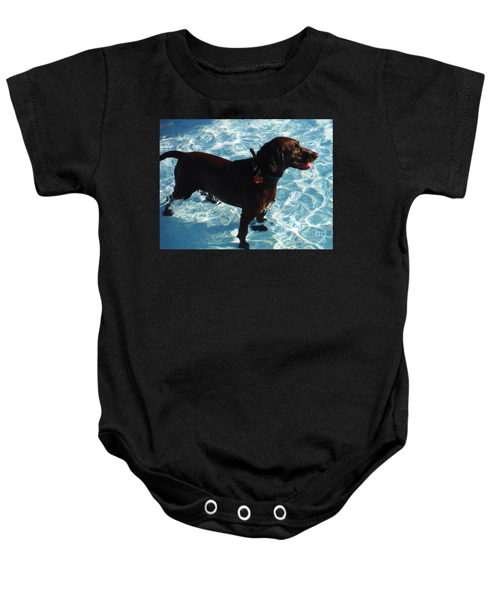 Water Dog Series Baby Onesie featuring the photograph Water Dogs Series 9 by Paddy Shaffer