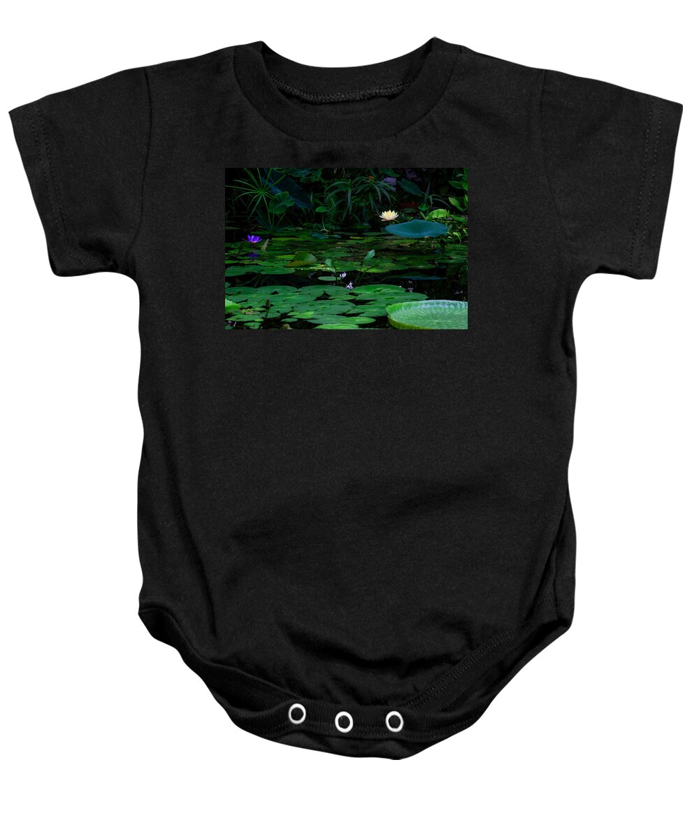 Bonnie Follett Baby Onesie featuring the photograph Water Lilies in the Pond by Bonnie Follett