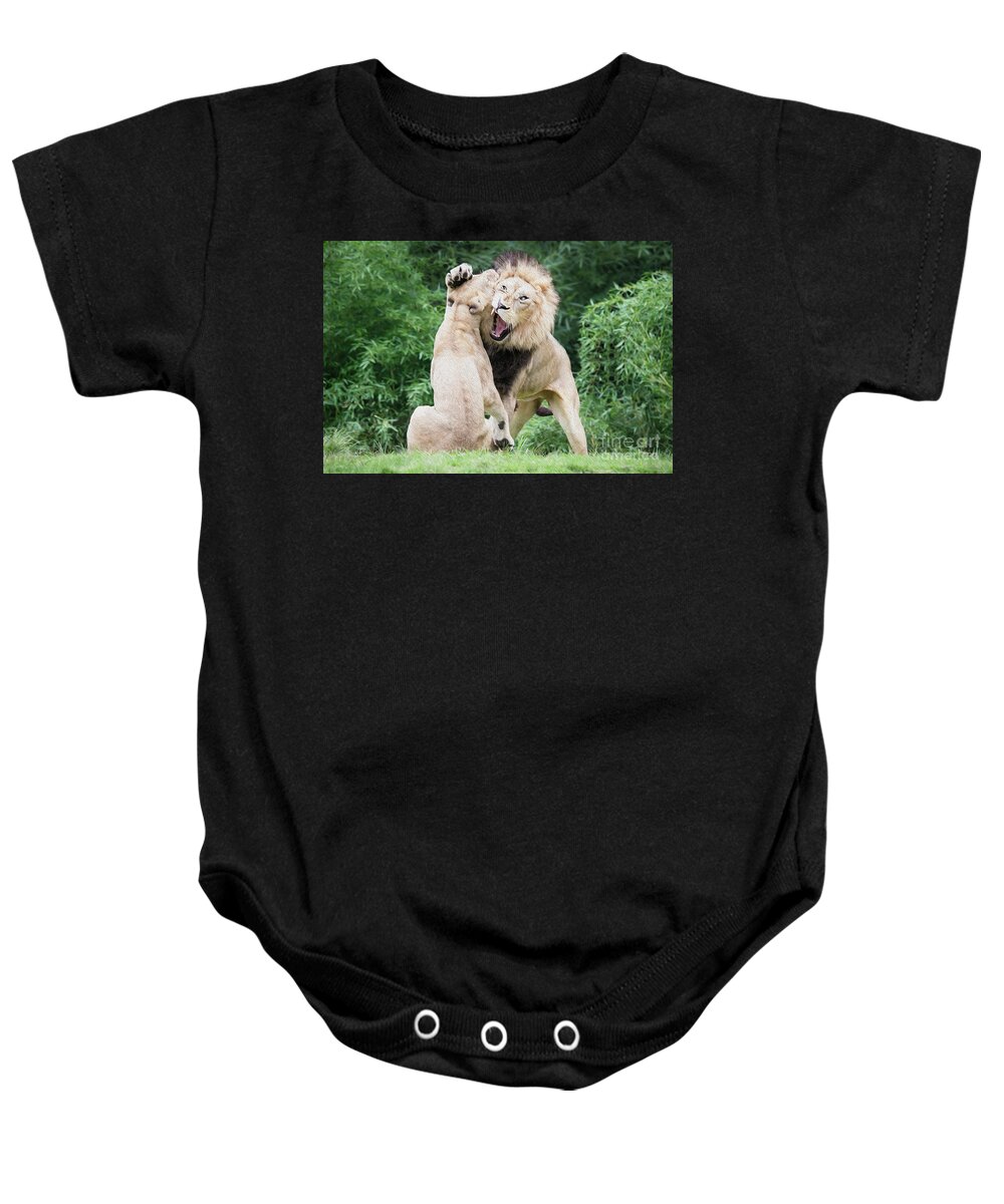 Cincinnati Zoo Baby Onesie featuring the digital art We are only playing Oil by Ed Taylor