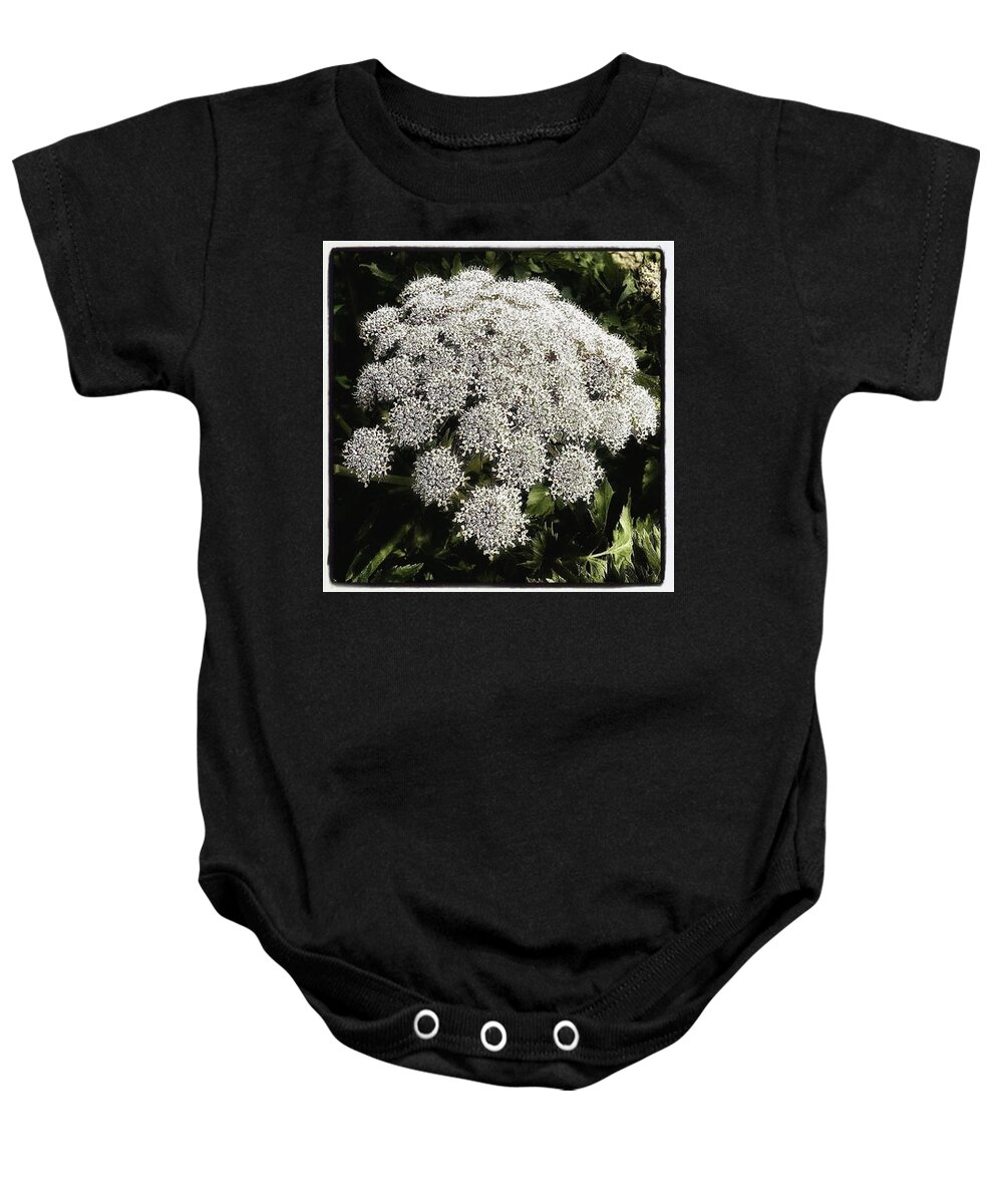 Flowers Baby Onesie featuring the photograph What Flower Is This? I Think It's by Mr Photojimsf