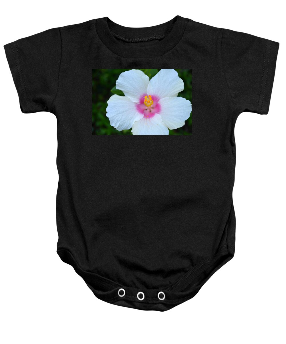 Flower Baby Onesie featuring the photograph White and Pink Hibiscus by Amy Fose