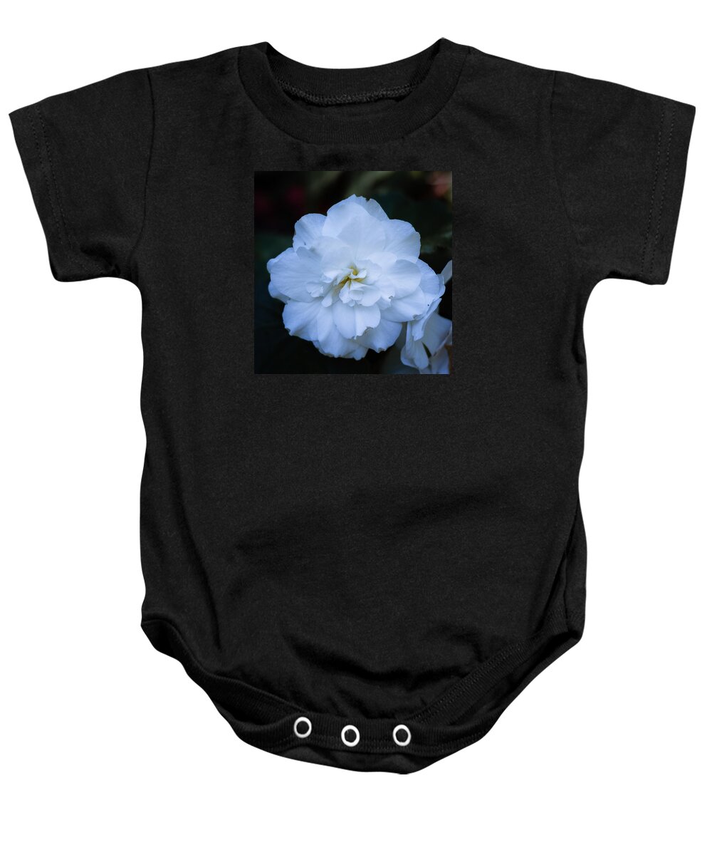 Bellingham Baby Onesie featuring the photograph White as Snow Begonia by Judy Wright Lott