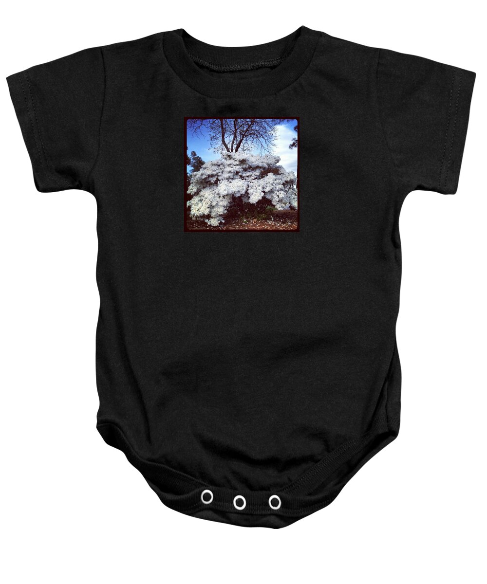 Plants Baby Onesie featuring the photograph White Bloom 2012 by Will Felix