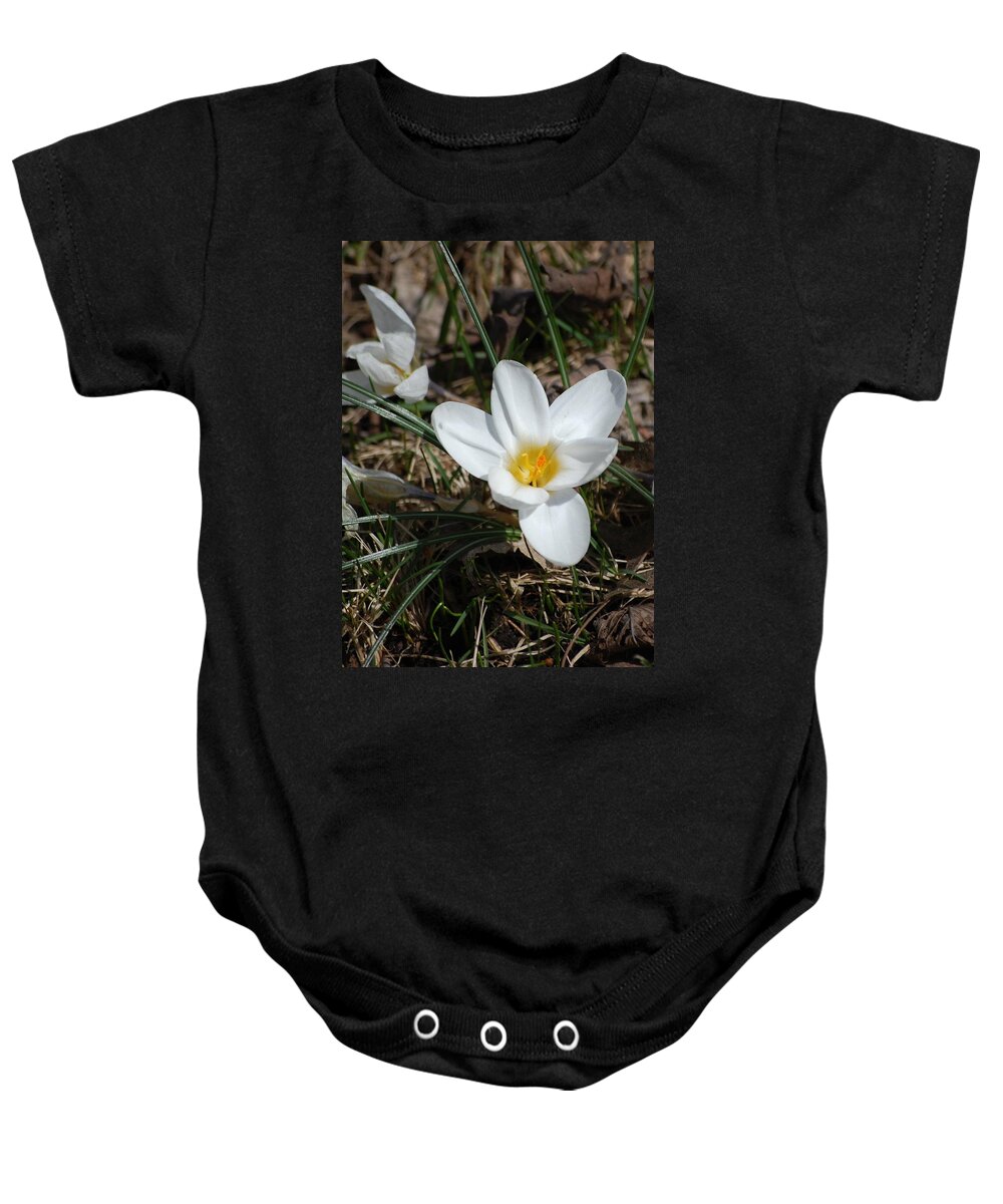 Digital Photography Baby Onesie featuring the photograph white Crocus by David Lane