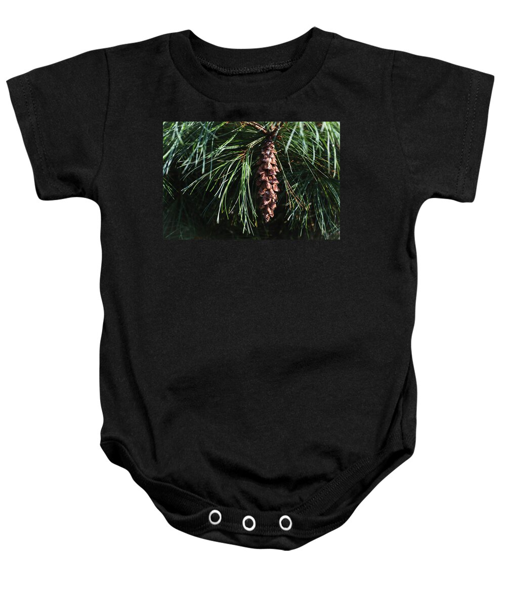 Andrew Pacheco Baby Onesie featuring the photograph White Pine Cone by Andrew Pacheco