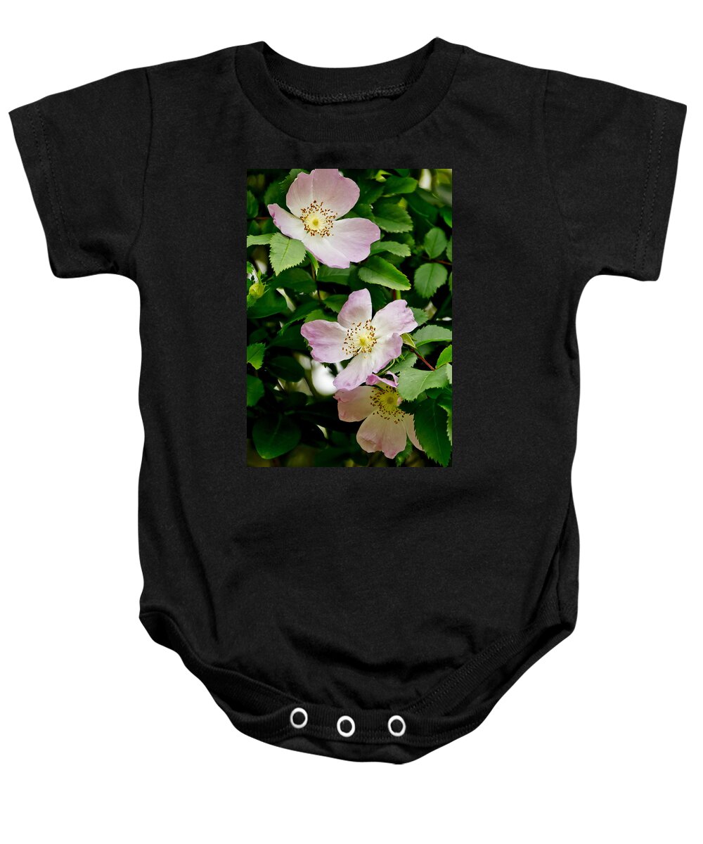 Wild Roses Baby Onesie featuring the photograph Wild Roses. Trio. by Elena Perelman