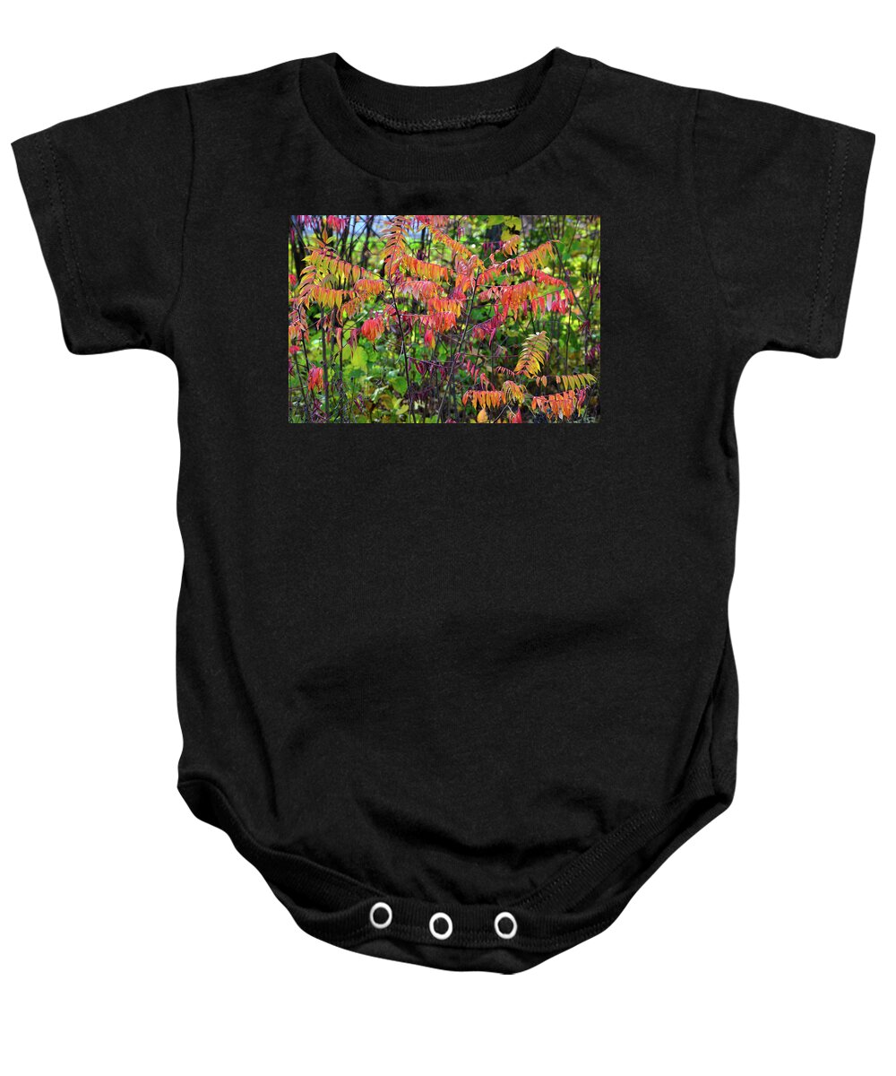 Wisconsin Baby Onesie featuring the photograph Wisconsin Fall Colors along I-39 by Ray Mathis