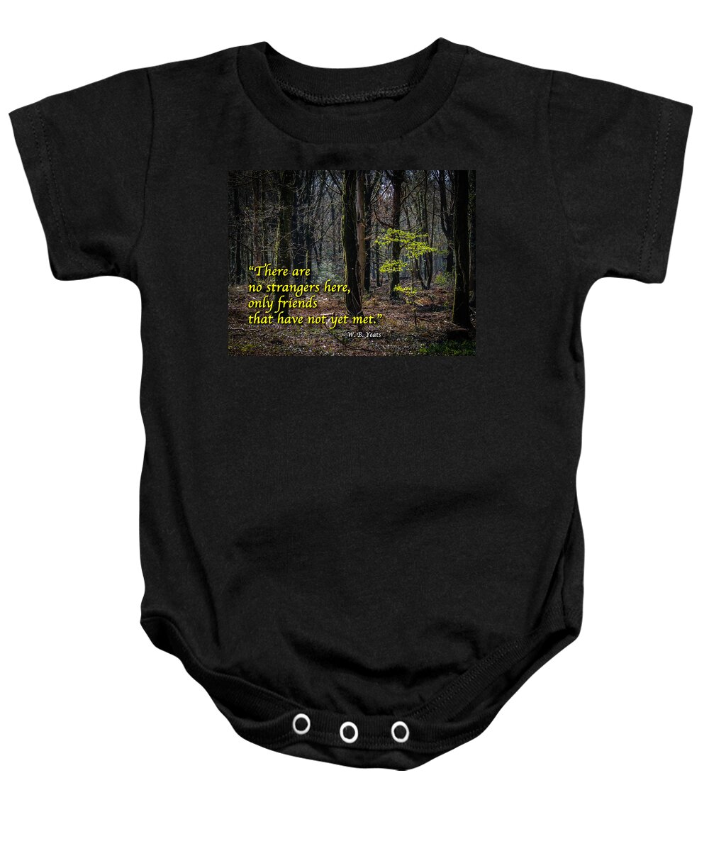 Coole Park Baby Onesie featuring the photograph Yeats Quote-There are no strangers... by James Truett