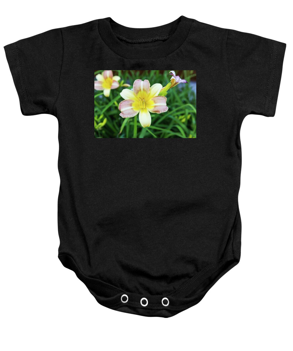 Daylily Baby Onesie featuring the photograph Yellow Daylily by D K Wall