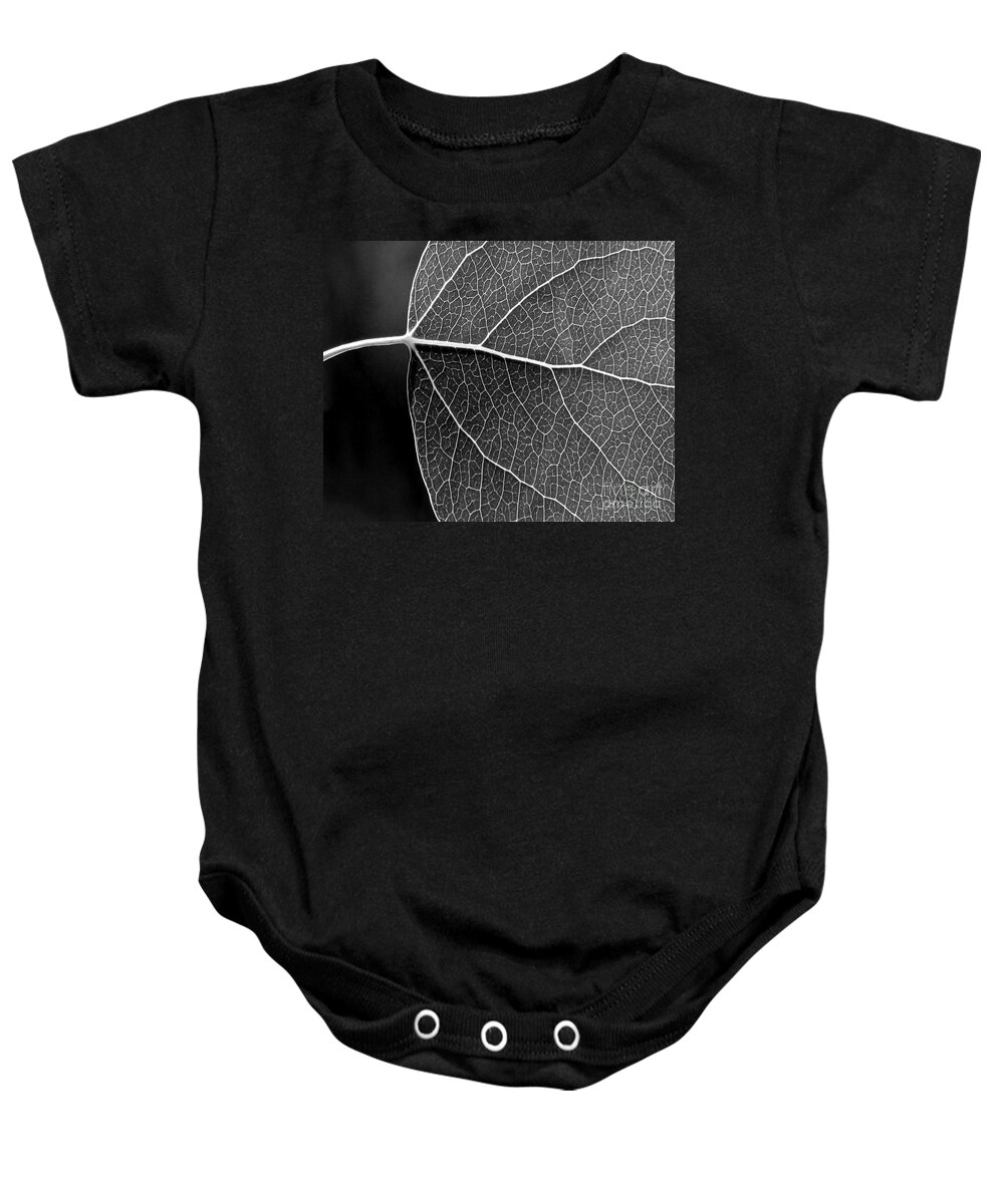 Aspen Leaf Veins Baby Onesie featuring the photograph Aspen Leaf Veins #1 by Natalie Dowty