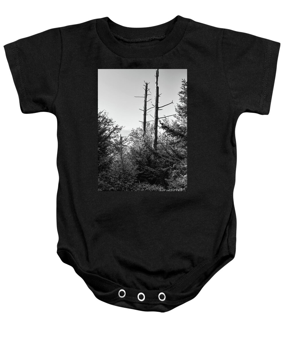 Smokies Baby Onesie featuring the photograph Black And White Forest #1 by Phil Perkins