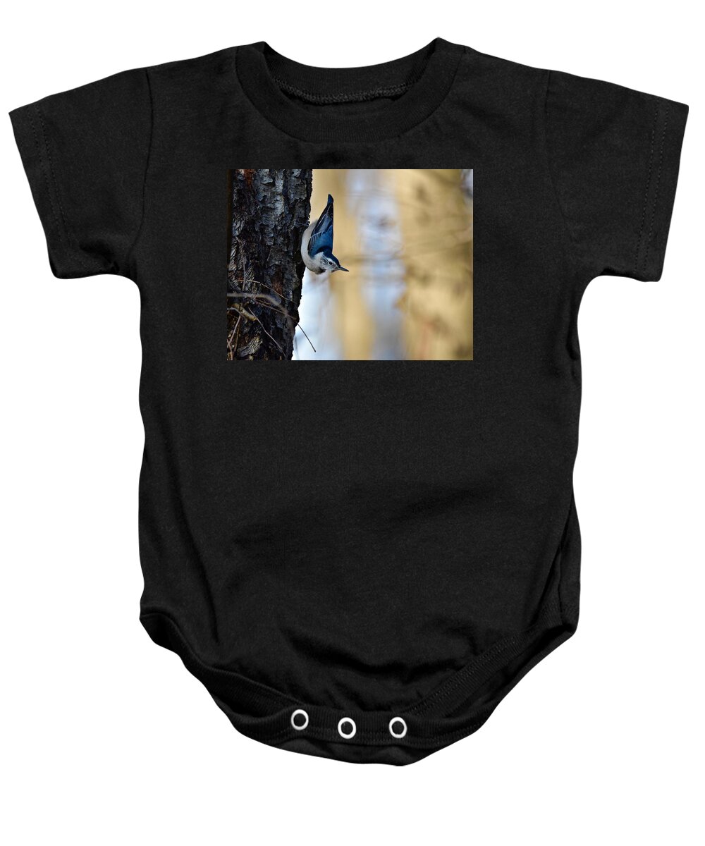 Wall Art Baby Onesie featuring the photograph Blue Jay #1 by Jeffrey PERKINS