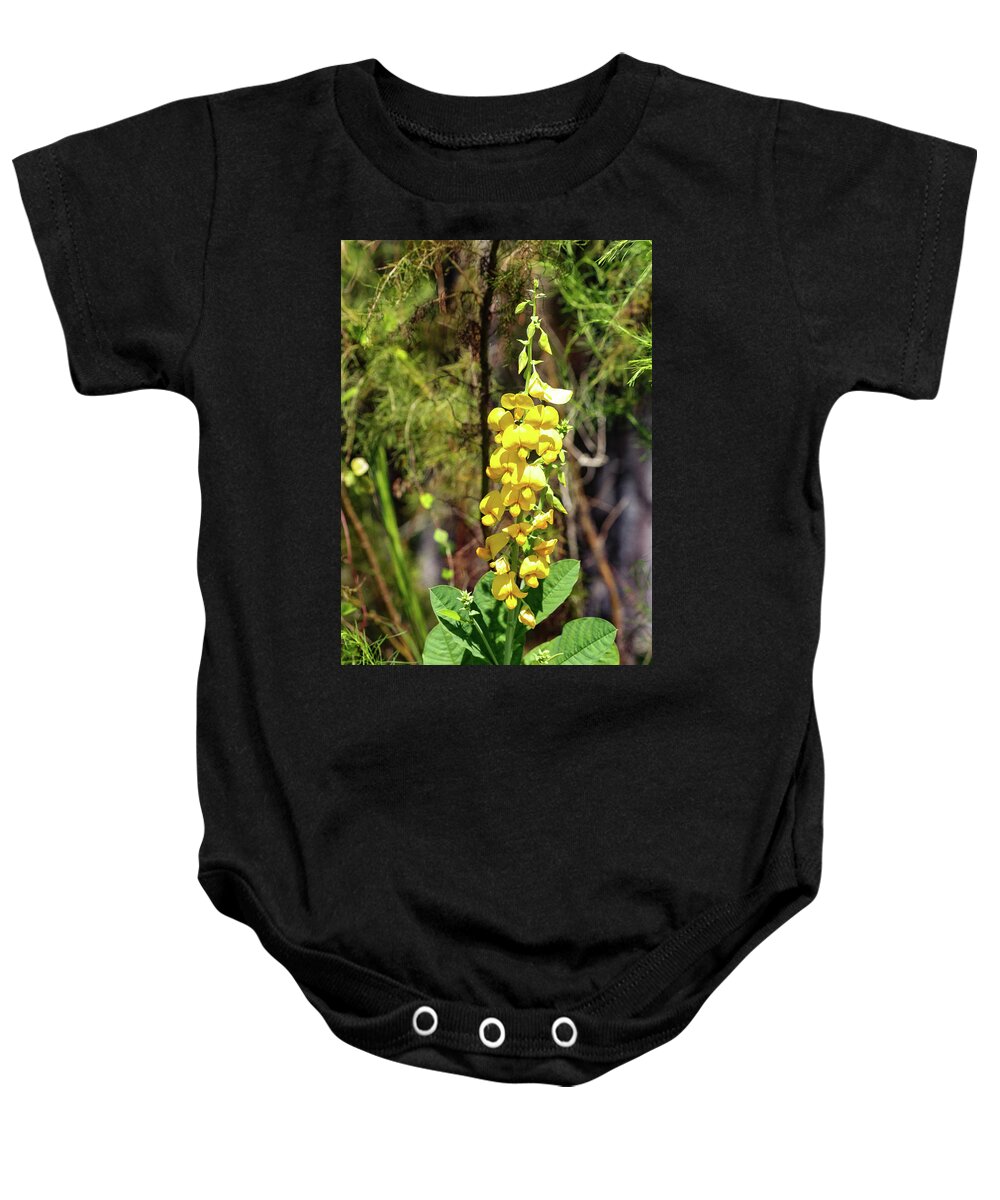 Flowers Baby Onesie featuring the photograph Fall Beauty #1 by Rick Redman