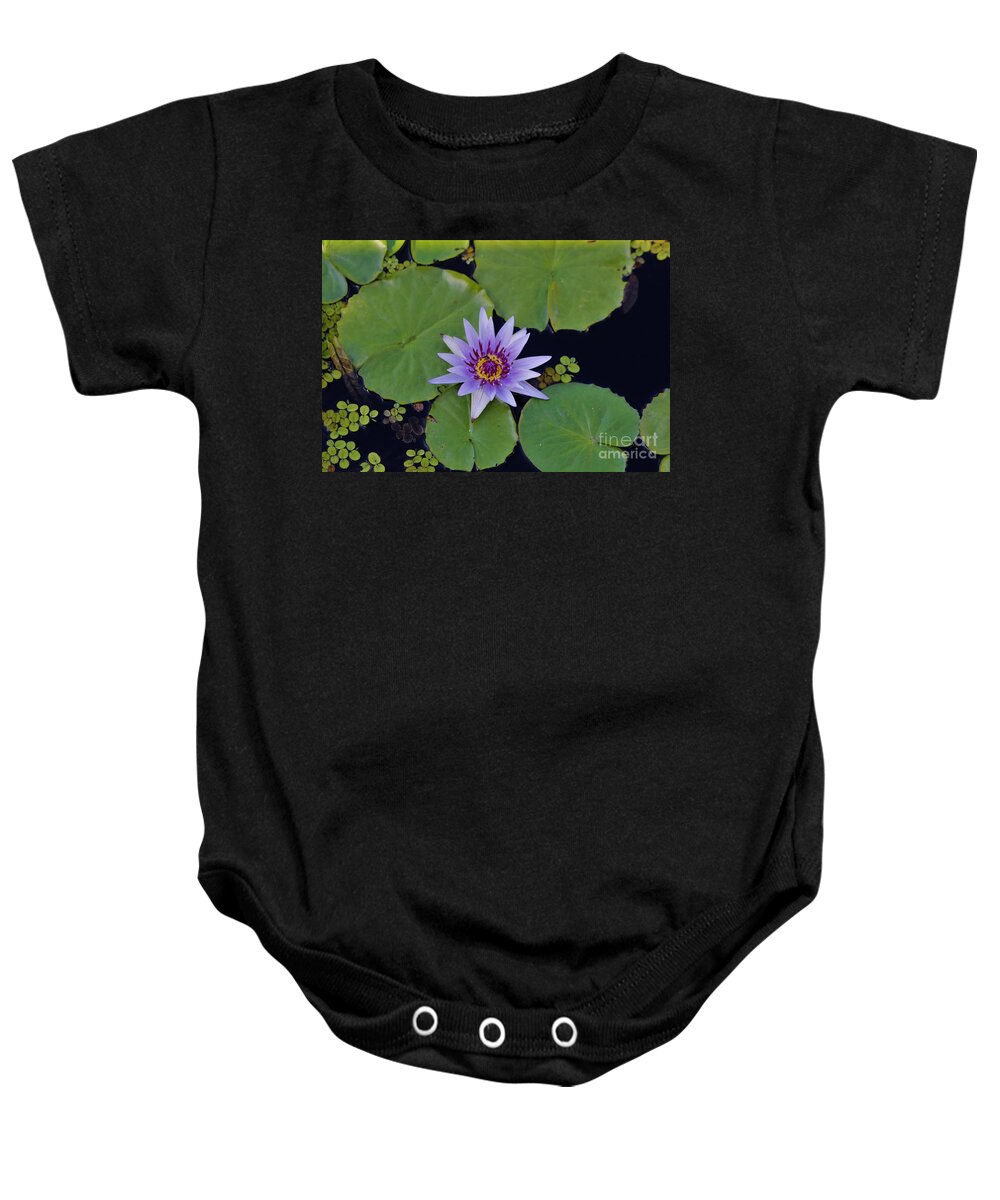 Naples Baby Onesie featuring the photograph Botanical Gardens by Donn Ingemie